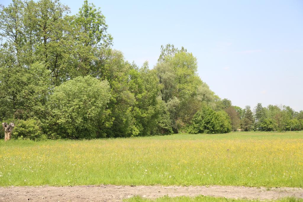 Gospodarstwo Agroturystyczne Stary Mlyn Wilczkowice Michalowice  Exterior photo