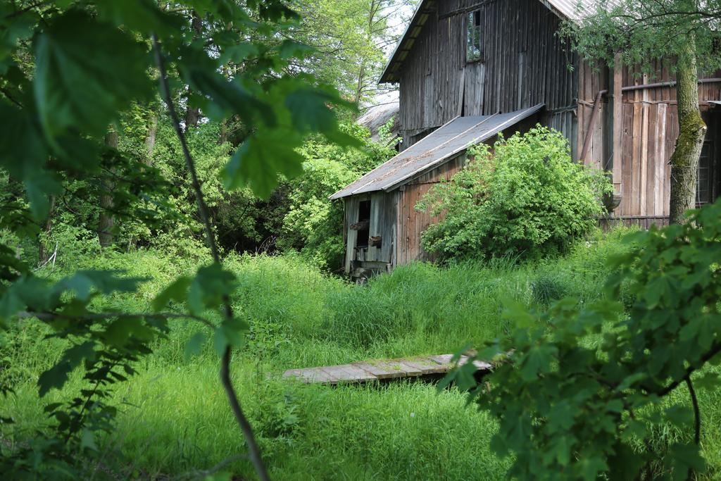Gospodarstwo Agroturystyczne Stary Mlyn Wilczkowice Michalowice  Exterior photo